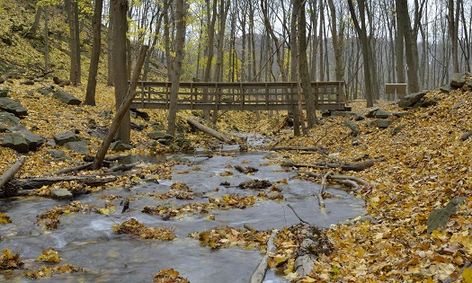 Bridge, Water, Fall, Autumn, River, Stream