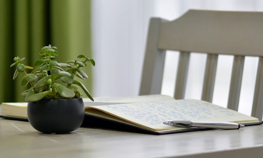 Writing Meditation, book opened, pen, plant