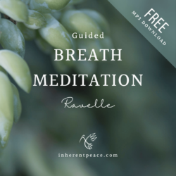 Guided Breath Meditation MP3
