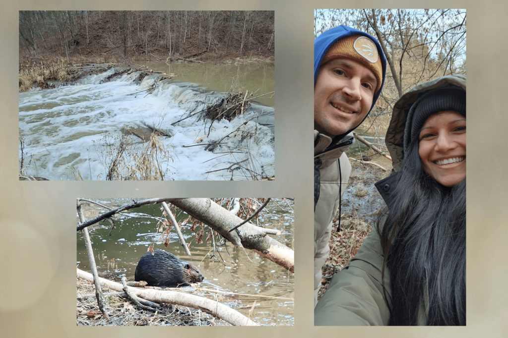 Day after psychedelic journey to heal trauma | hiking, beaver, river